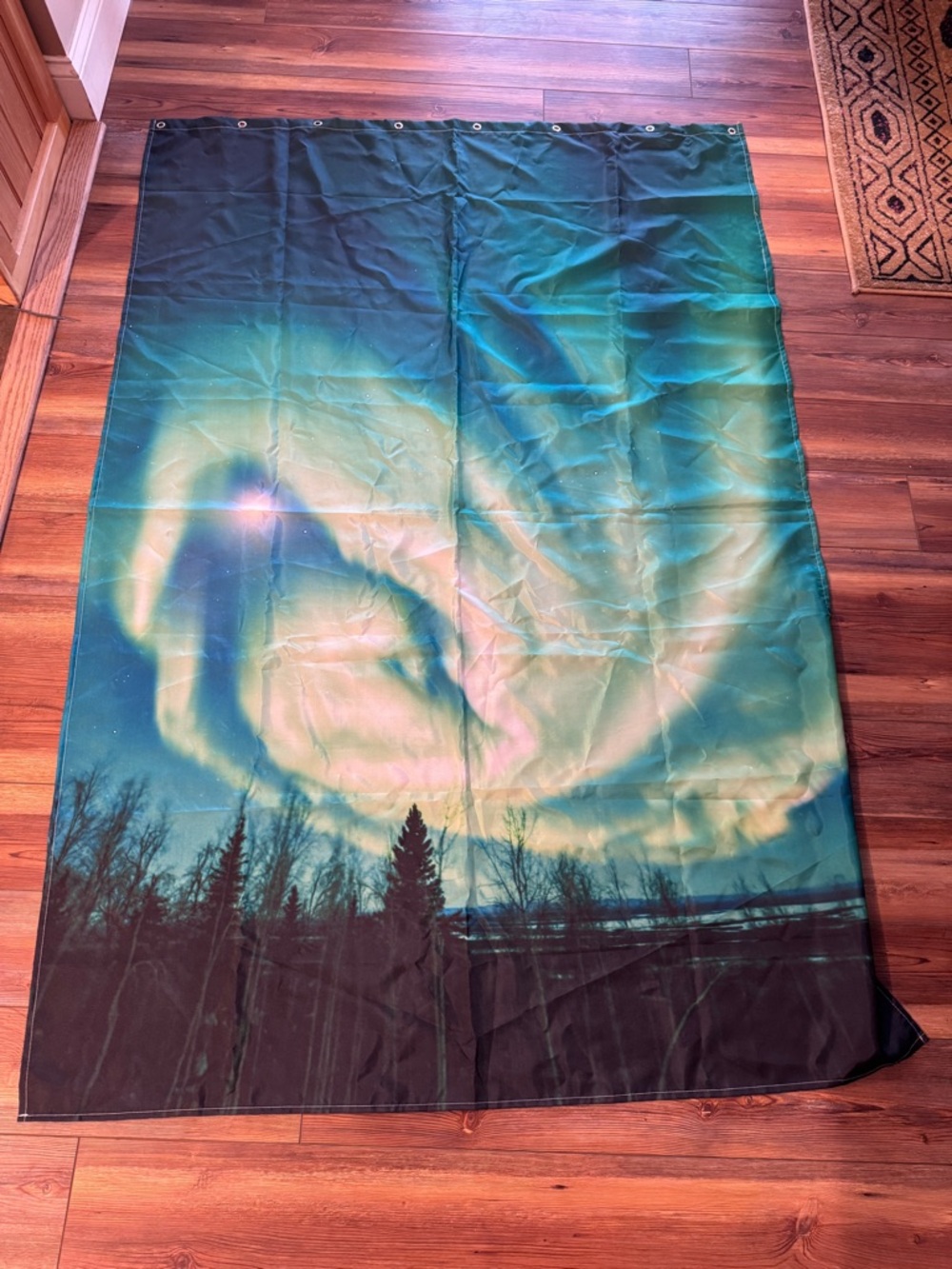 Aurora shower curtain.